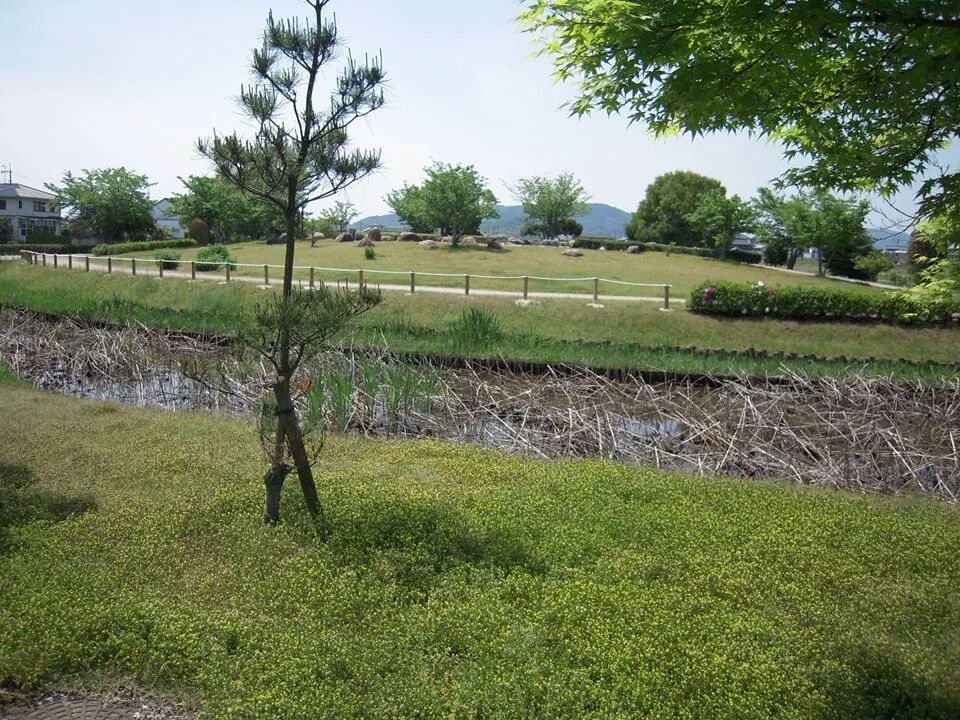 備中高松城の本丸跡