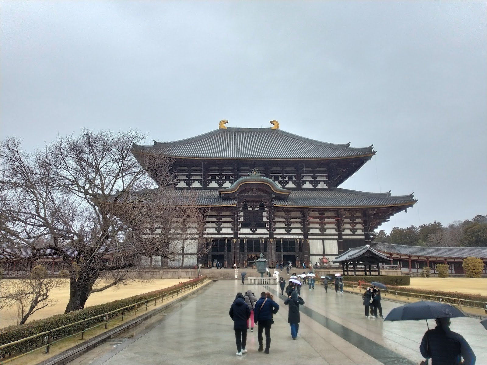 東大寺大仏殿