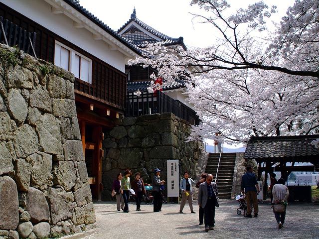 桜の季節の上田城の櫓門